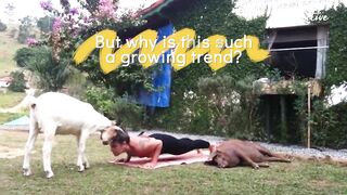 The Benefits of Doing Yoga with Your Pet