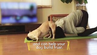 The Benefits of Doing Yoga with Your Pet