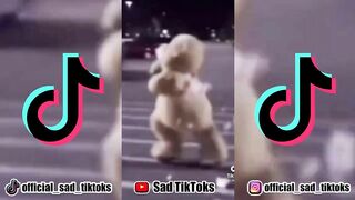 Sad TikTok Compilation #040 that will break your heart???????? Part 3