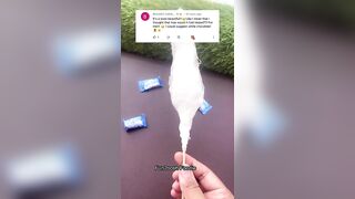 Center Fresh????Cotton Candy????????????…Day 5 of 30 Days Challenge | Fun2oosh Foodie