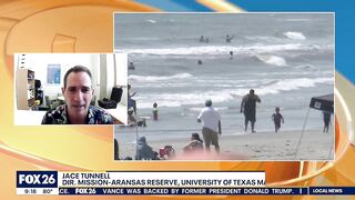 Creepy dolls washing up on Texas beach