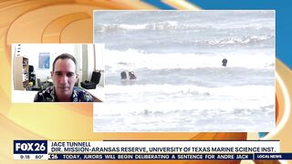 Creepy dolls washing up on Texas beach