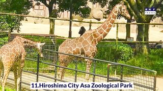 12 Top-Rated Tourist Attractions in Hiroshima, Japan | Travel Video | Travel Guide | SKY Travel