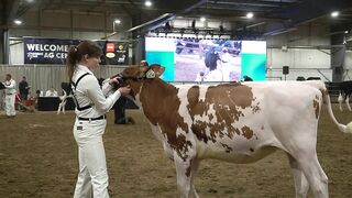 A Dairy on the Prairie Trailer!