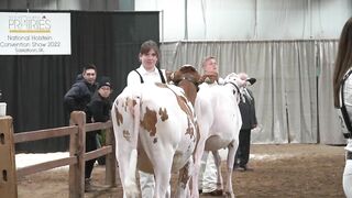 A Dairy on the Prairie Trailer!