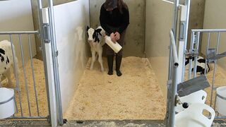 A Dairy on the Prairie Trailer!