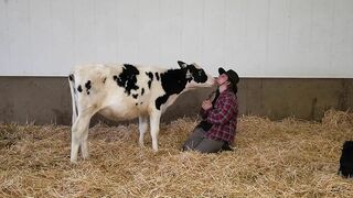 A Dairy on the Prairie Trailer!