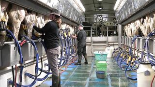 A Dairy on the Prairie Trailer!