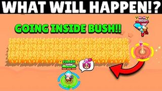 How We Will See Janet with Our POV inside Bushes!? | Brawl Stars #Stuntshow