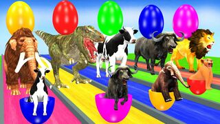 Don't Choose The Wrong Egg Challenge with Cow Tiger Elephant Mammoth Lion Buffalo Wild Animals