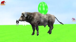 Don't Choose The Wrong Egg Challenge with Cow Tiger Elephant Mammoth Lion Buffalo Wild Animals