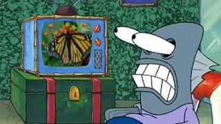 Bikini Bottom Freaks Out Over a Butterfly