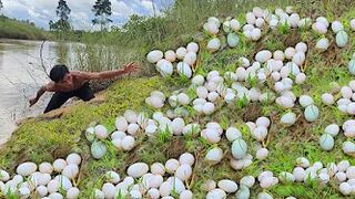 amazing fishing! lots of eggs found on stream side