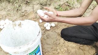 amazing fishing! lots of eggs found on stream side