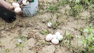 amazing fishing! lots of eggs found on stream side