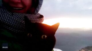 This CAT LOVES TO TRAVEL Around ITALY ????????