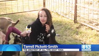 Goat Yoga For Mother's Day