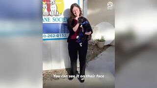 Shelter dogs' reactions to being adopted