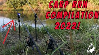 STRONG Carp Run COMPILATION 2022! PART 43!