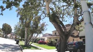 Pacific Beach residents say several streetlights have been on 24/7 for more than a year