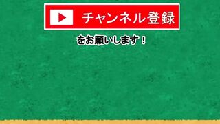 セイキンTikTok乗っ取り事件 について解説