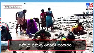 బీచ్‌లో బంగారం దొరుకుతుందట..| Gold Coming Out From Sea at Uppada Beach - TV9 Digital