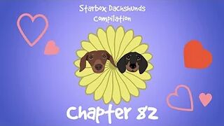 Starbox Dachshunds Compilation Chapter 82