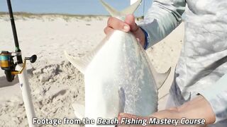 #1 Beach Fishing Bait Hack That Will Catch More Fish