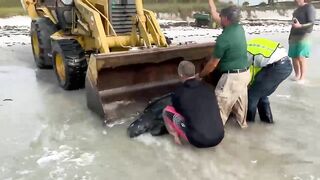 Leatherback turtle washes up on Hanna Park beach in Jacksonville