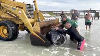 Leatherback turtle washes up on Hanna Park beach in Jacksonville