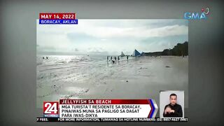 Sandamakmak na dikya, nagkalat sa white sand beach ng Boracay | 24 Oras Weekend