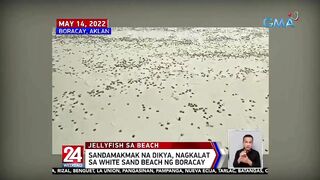 Sandamakmak na dikya, nagkalat sa white sand beach ng Boracay | 24 Oras Weekend