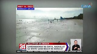 Sandamakmak na dikya, nagkalat sa white sand beach ng Boracay | 24 Oras Weekend