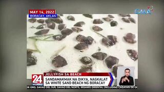 Sandamakmak na dikya, nagkalat sa white sand beach ng Boracay | 24 Oras Weekend