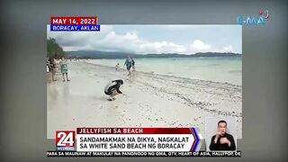 Sandamakmak na dikya, nagkalat sa white sand beach ng Boracay | 24 Oras Weekend