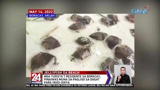 Sandamakmak na dikya, nagkalat sa white sand beach ng Boracay | 24 Oras Weekend