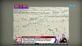 Sandamakmak na dikya, nagkalat sa white sand beach ng Boracay | 24 Oras Weekend