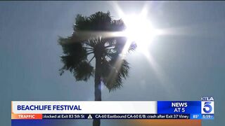 Concertgoers beat the heat at Redondo Beach music festival