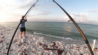 I Caught The World's Most Dangerous Beach Fish!