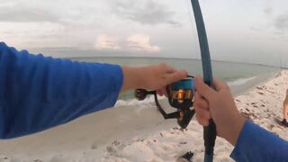 I Caught The World's Most Dangerous Beach Fish!