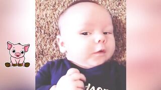 The Cutest Chubby Baby Compilation || Oh Baby