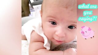 The Cutest Chubby Baby Compilation || Oh Baby