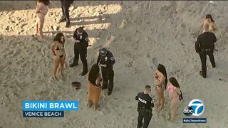 Venice Beach brawl breaks out after man films multiple women wearing bikinis | ABC7