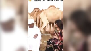 Instagram Reels Troll Tamil l Part 2 l Fire Brothers