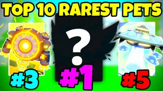 TOP 10 RAREST SECRET PET IN ROBLOX CLICKER SIMULATOR