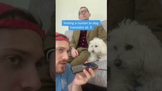 Human to Dog Translator Compilation!