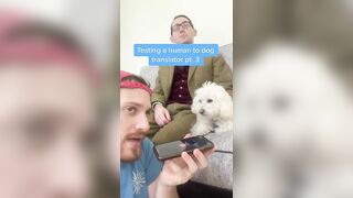 Human to Dog Translator Compilation!