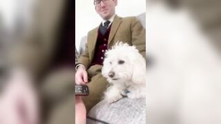 Human to Dog Translator Compilation!