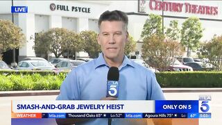 Jewelry store employees repel smash-and-grab attempt