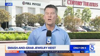 Jewelry store employees repel smash-and-grab attempt